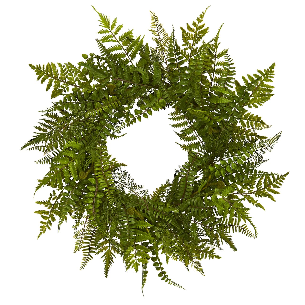 24&#x201D; Mixed Fern Wreath